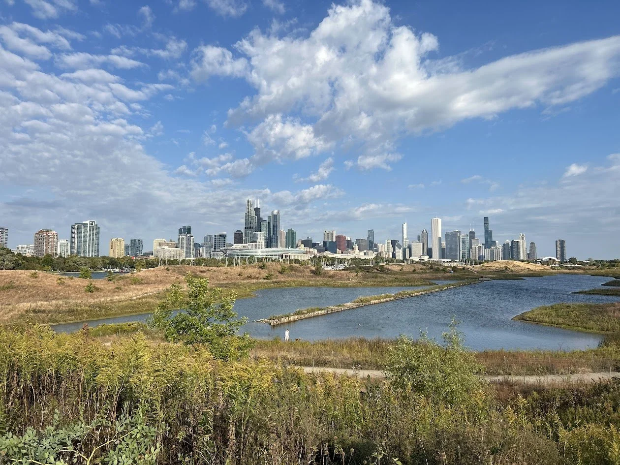 Chicago from Northerly Island nature walk.