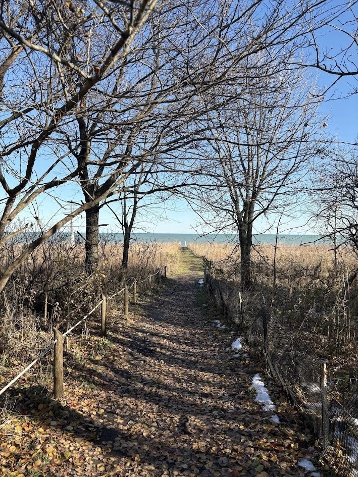 Montrose Bird Sanctuary Pathway