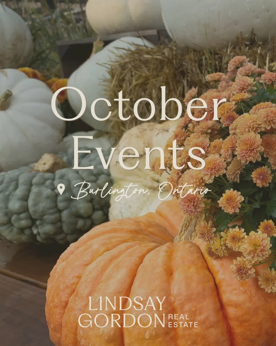 It&rsquo;s hard to believe October is already here&hellip; the leaves are turning, the sweaters are coming out and Burlington is full of fall fun this month 🍂

Some of these book up fast, especially the ones with tickets like the Pumpkin Trail and M
