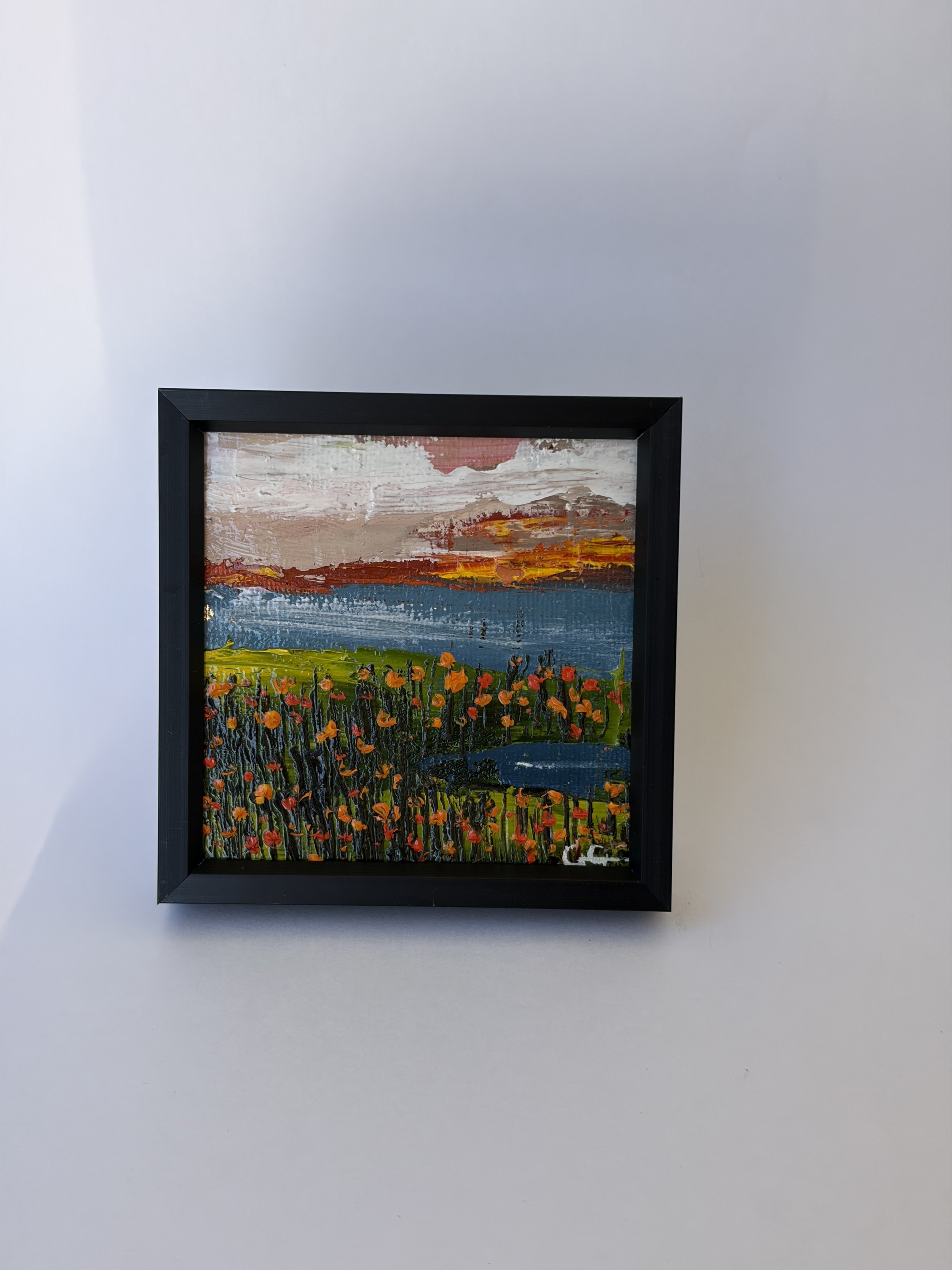 Baby Vernal pool Flowers, georgina gilmore mini oil paint, vernal pools CA painting