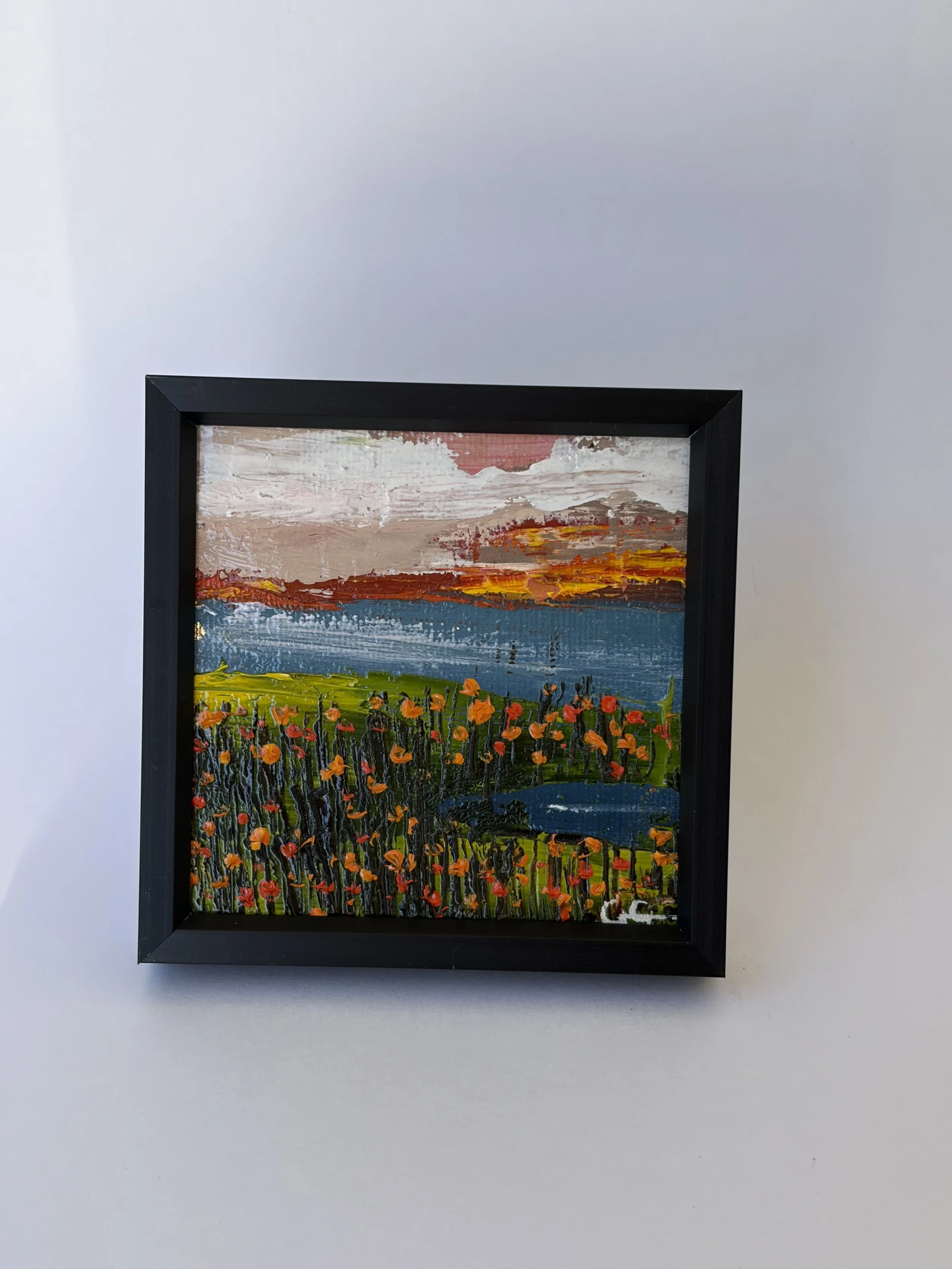 Baby Vernal pool Flowers, georgina gilmore mini oil paint, vernal pools CA painting