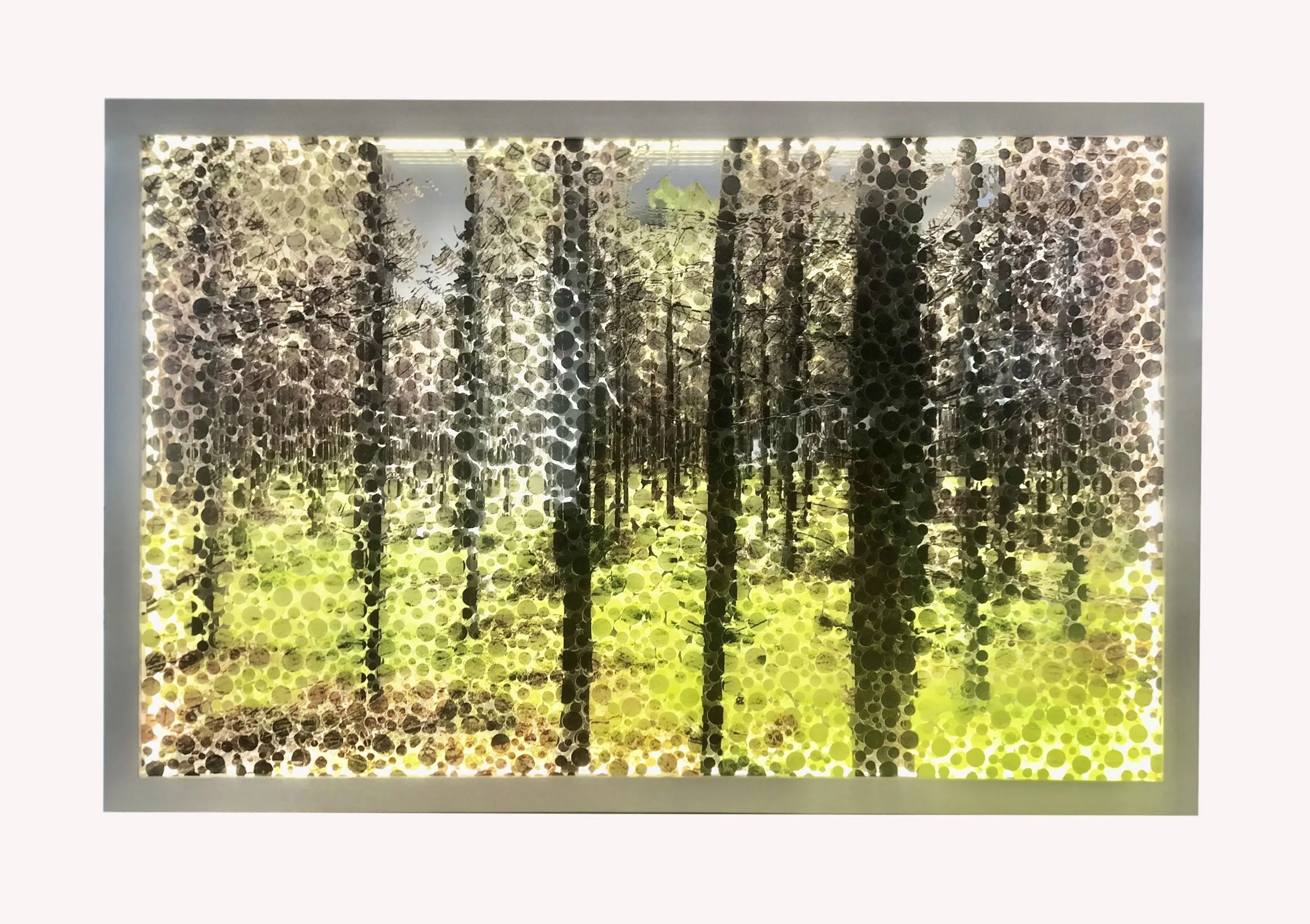 Perception, 2025 (Norbert Brunner)