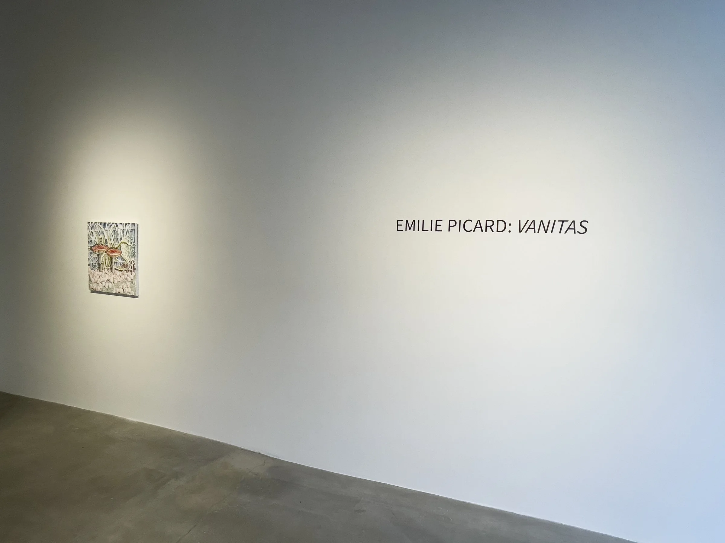 Vanitas, 2023 (Emilie Picard)