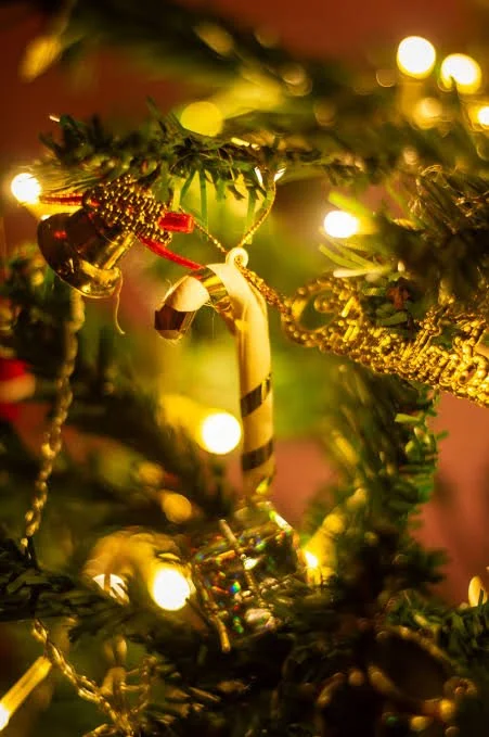 Holiday Camp - December