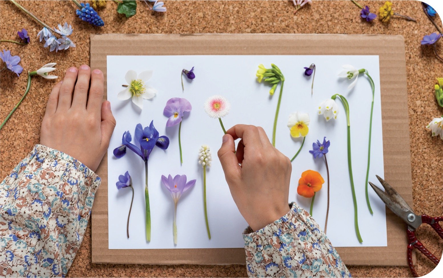 Art & Nature
