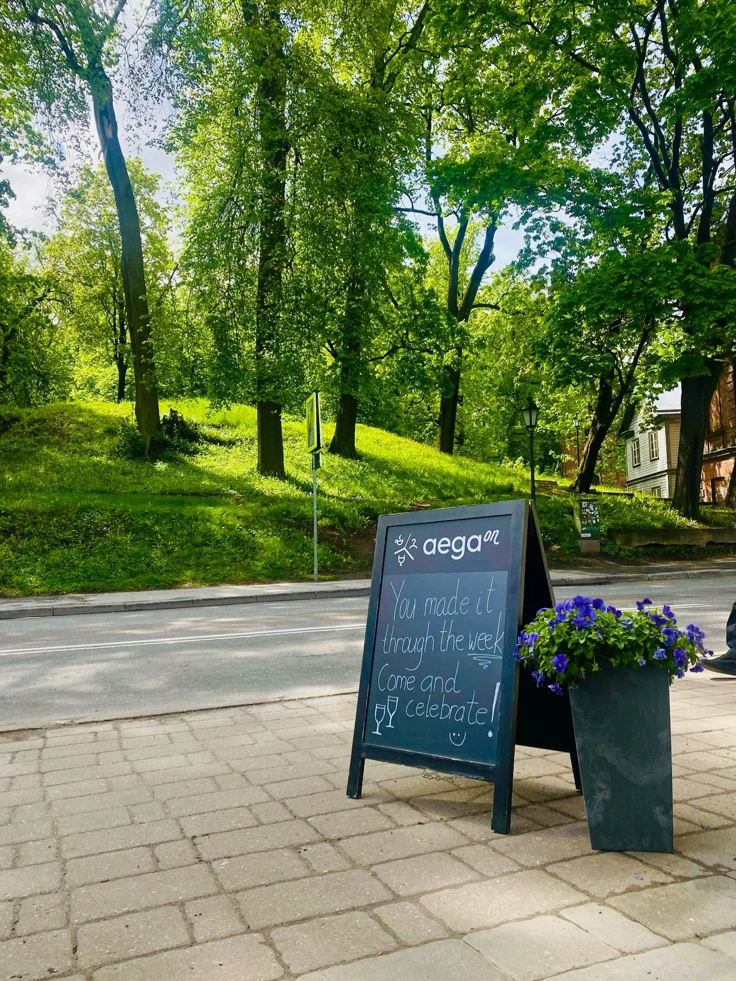See oli umbes sellel ajal kui Toomem&auml;gi s&auml;ras oma kevadiselt rohelises r&uuml;&uuml;s ja v&otilde;&otilde;rasemad &otilde;itsesid, kui meie alustasime oma kodulehe projektiga. Aga kuna elu ja koogid tulid vahele, j&auml;i asi pikaks ajaks s