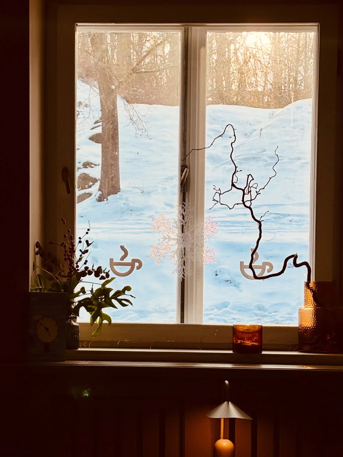 Kui p&auml;ike ja Toomem&auml;gi paistavad akna tagant ning toas on hea ja soe.  Ilusat veebruari algust ning Tartu rahu aastap&auml;eva! 🇪🇪❄️☀️

#visittartu #aegaon