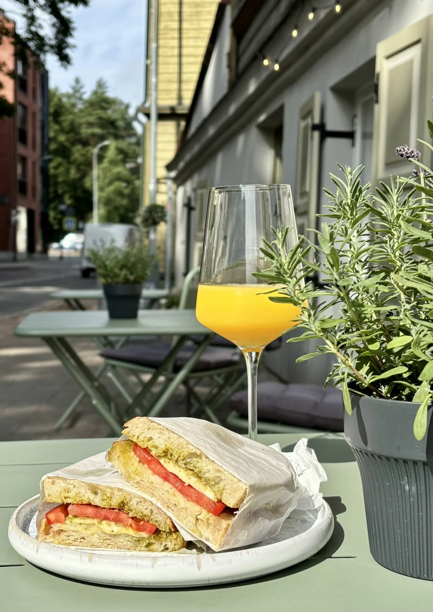 maitsvad paninid Tartus, kimchi, rebitud liha, mozzarella, hapusaia panini, kohapeal valmistatud