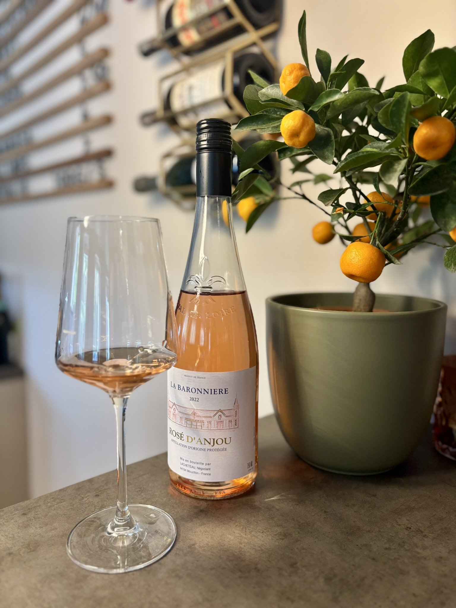 Tartu veinibaar, veinikas, Tartu vanalinn, Supilinn, Toomemägi