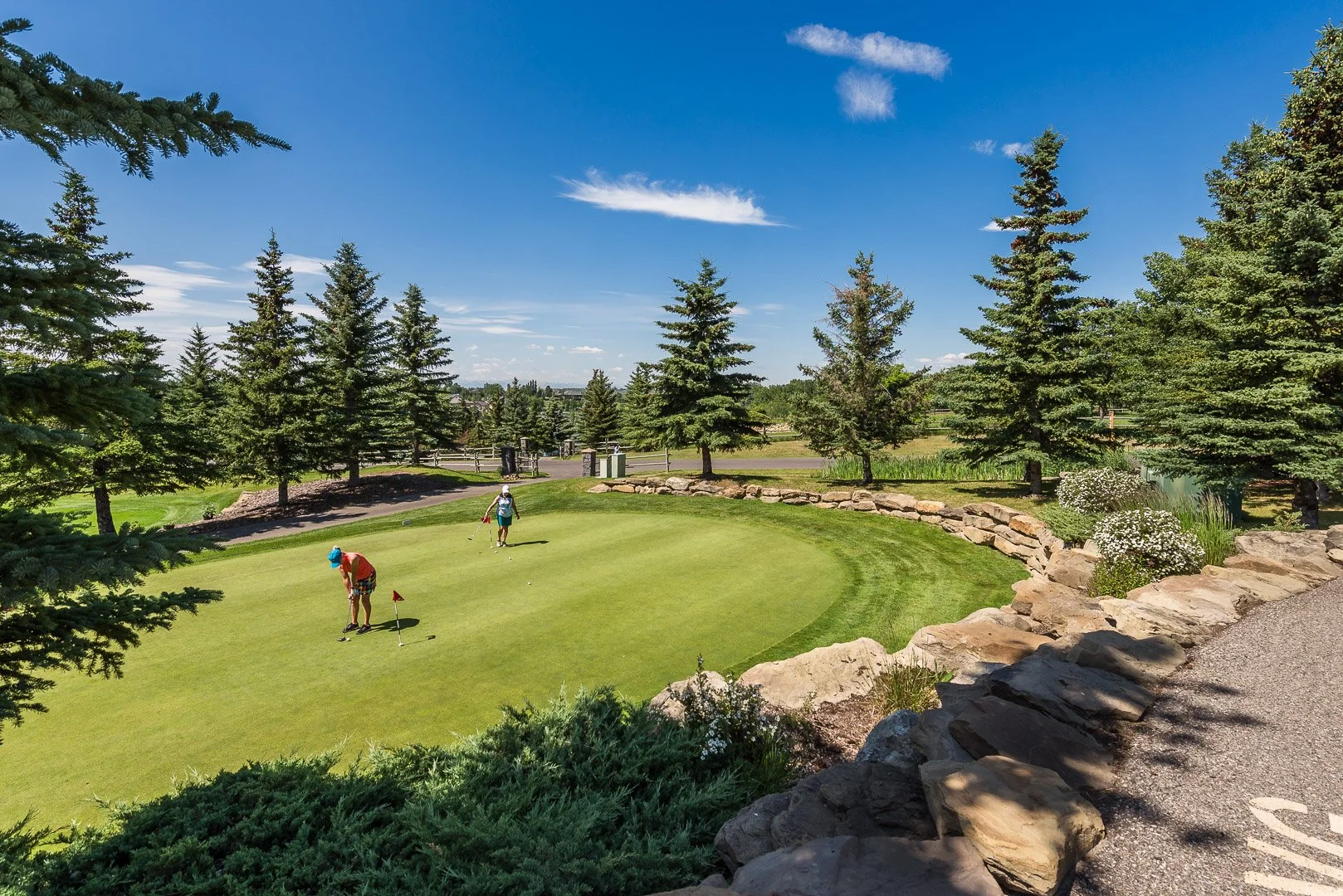 99 Lynx Meadows Dr NW-289.jpg