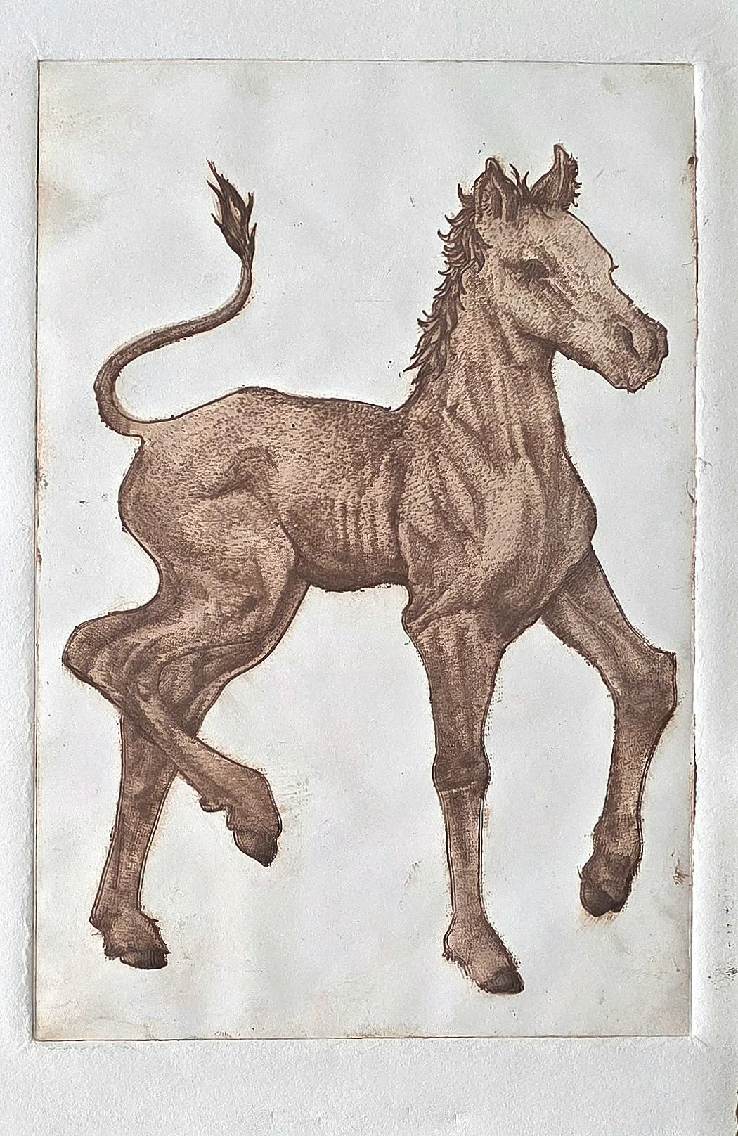 Untitled(Engraved print; 2024)