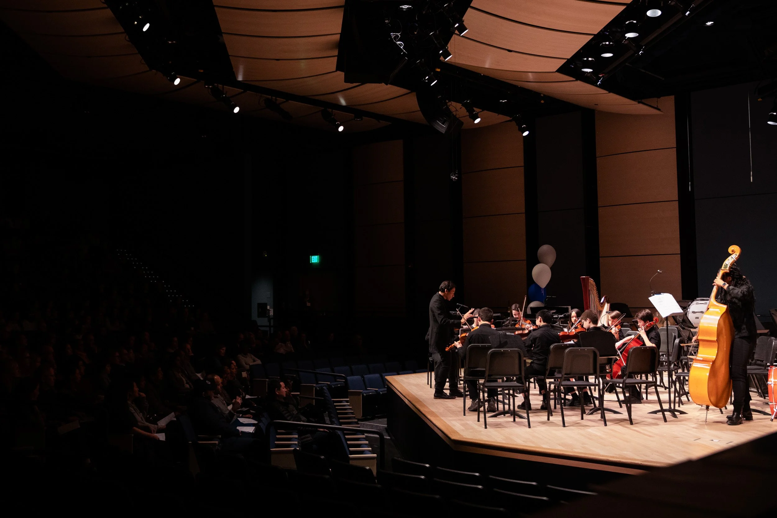 Musicians performing in an orchestra on stage in a concert hall with audience in the dark.