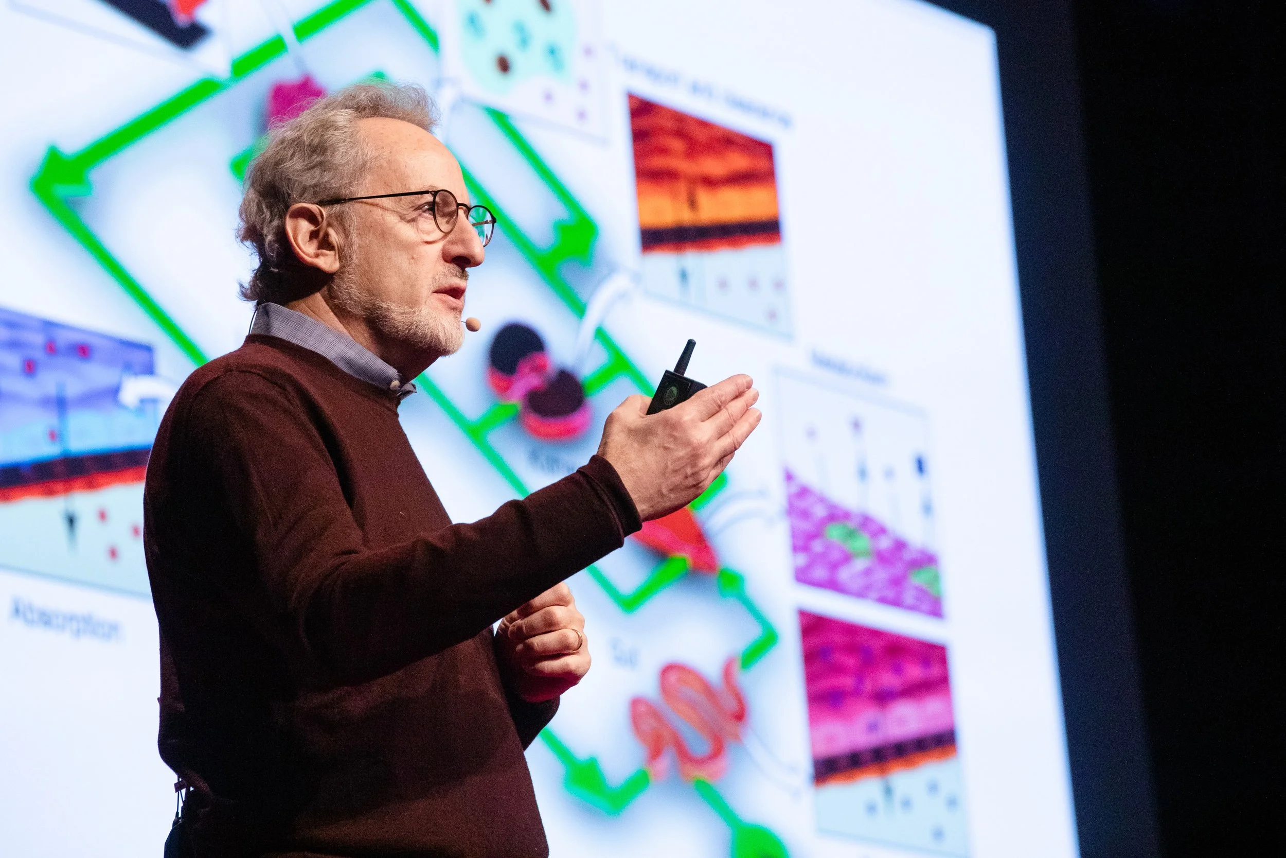A man with glasses giving a TED talk at a TEDx event in Natick, Massachusetts.