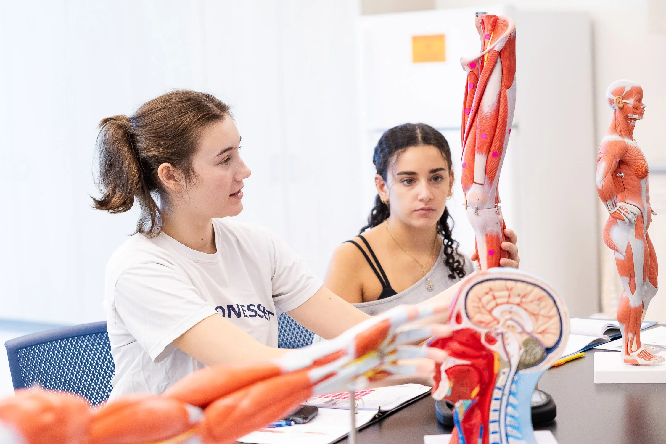 Two nursing students studying anatomy models in a Boston college classroom.
