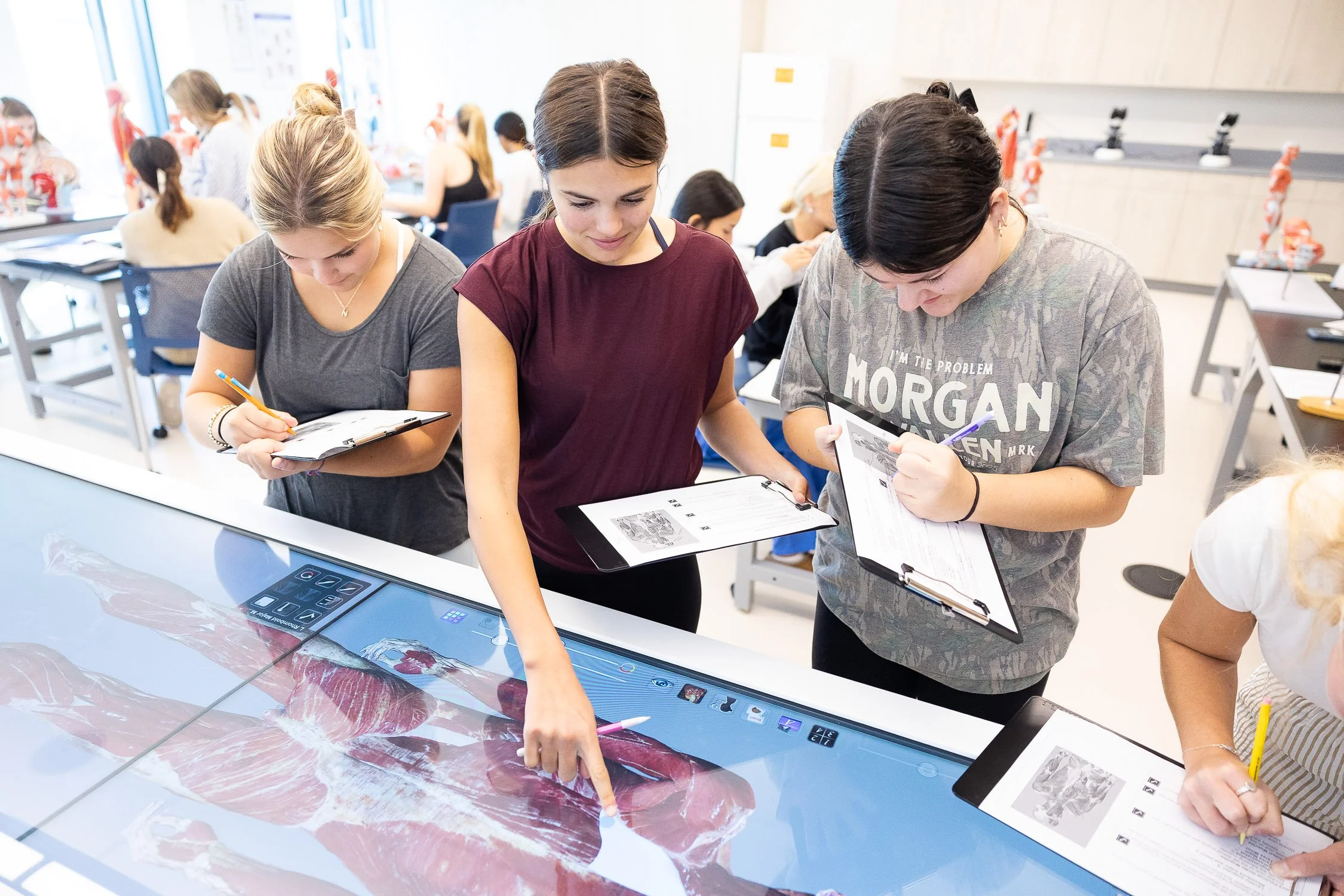 Group of nursing students in a classroom examining a digital anatomical display of human muscle at a Boston college.