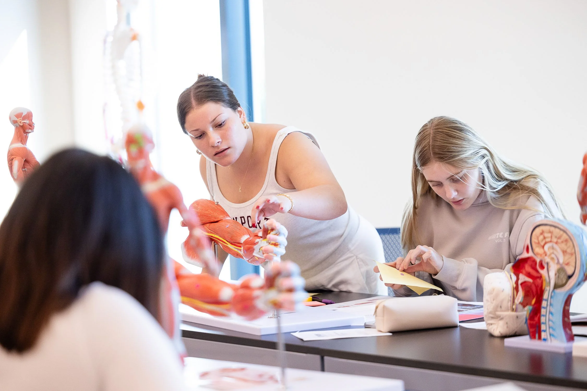Nursing students working with anatomical models of the human body and muscles during a college class.