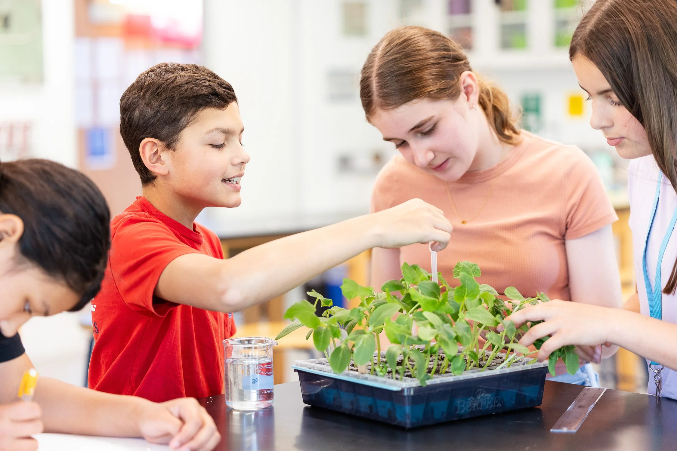 Four students watering plant in science class