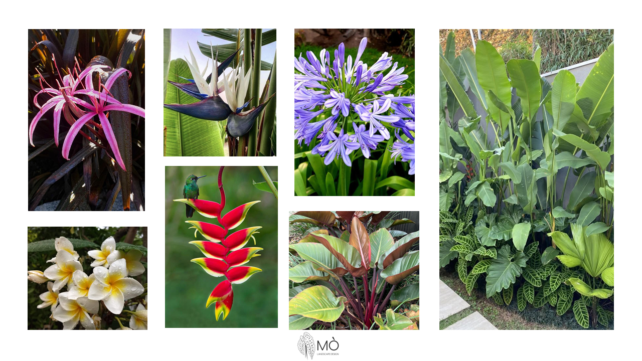 Revitalização de condomínio residencial - São Paulo/SP