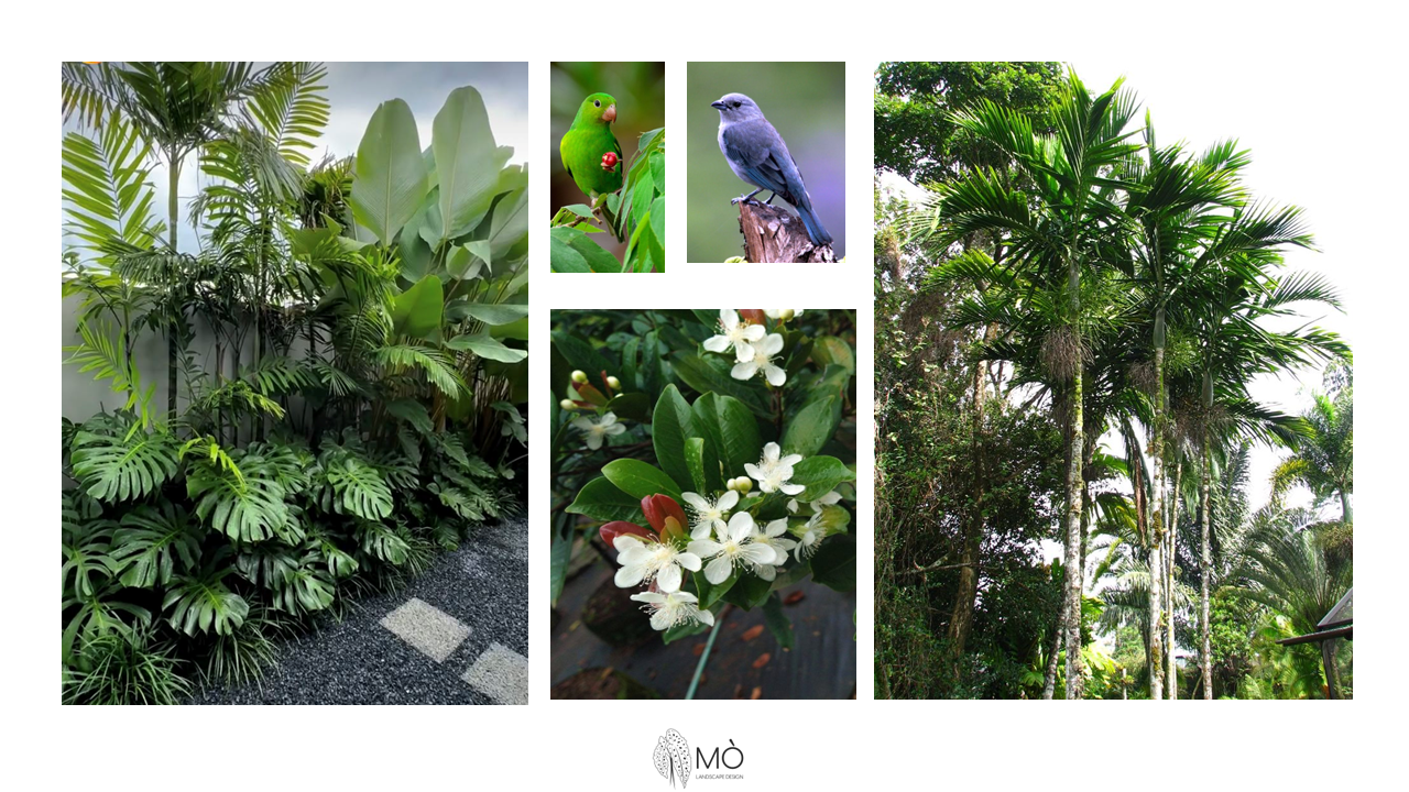 Revitalização de condomínio residencial - São Paulo/SP