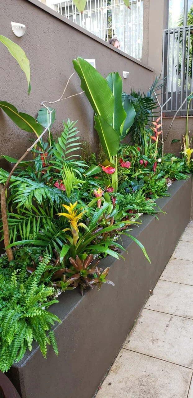 WhatsApp Image 2020-07-23 at 13.26.10.jpeg