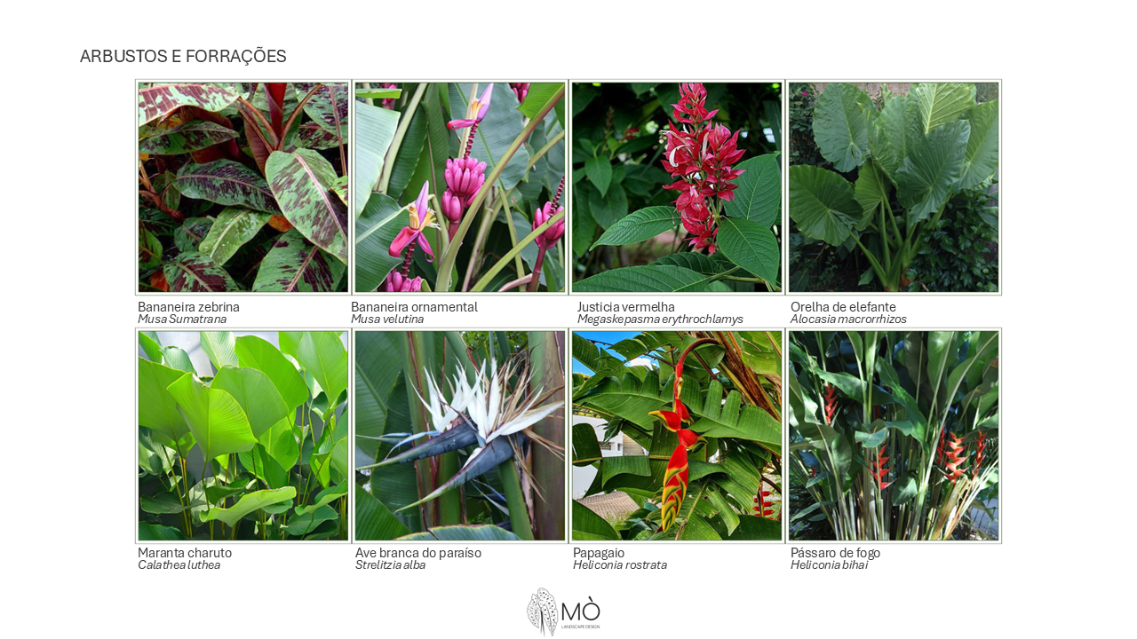 Revitalização de condomínio residencial - São Paulo/SP