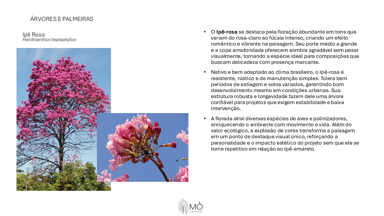 Revitalização de condomínio residencial - São Paulo/SP