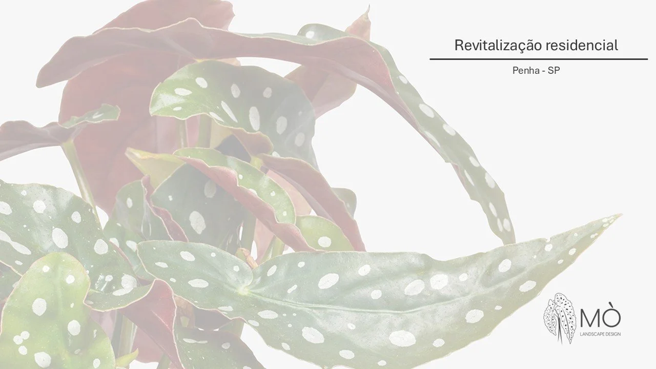 Revitalização de condomínio residencial - São Paulo/SP