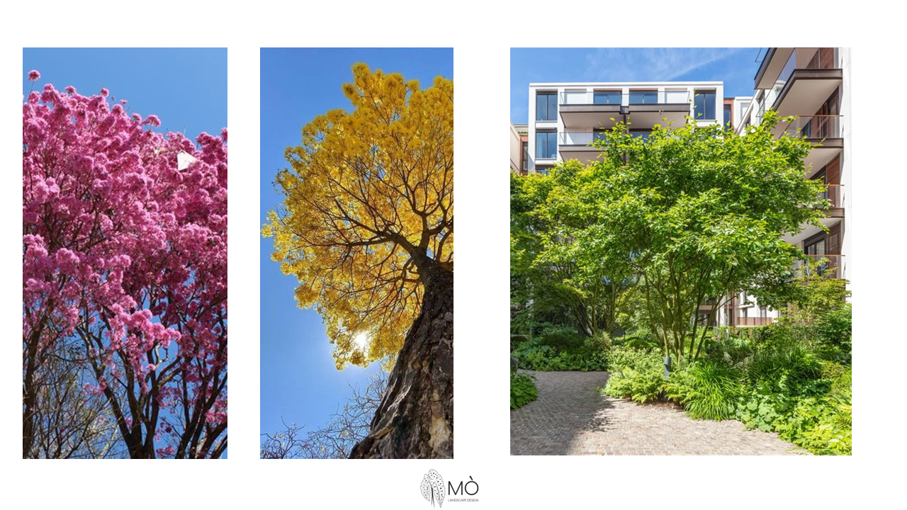 Revitalização de condomínio residencial - São Paulo/SP
