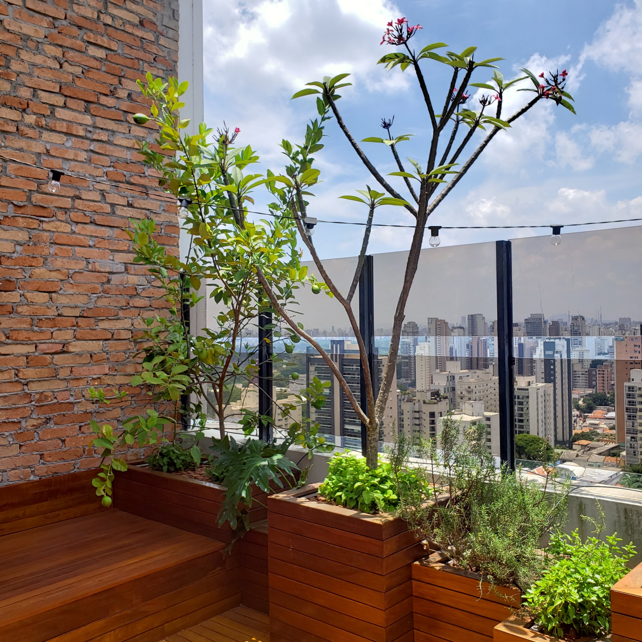 Varanda com plantas em vasos de madeira, incluindo uma árvore com flores, em ambiente urbano com prédios ao fundo e céu parcialmente nublado.