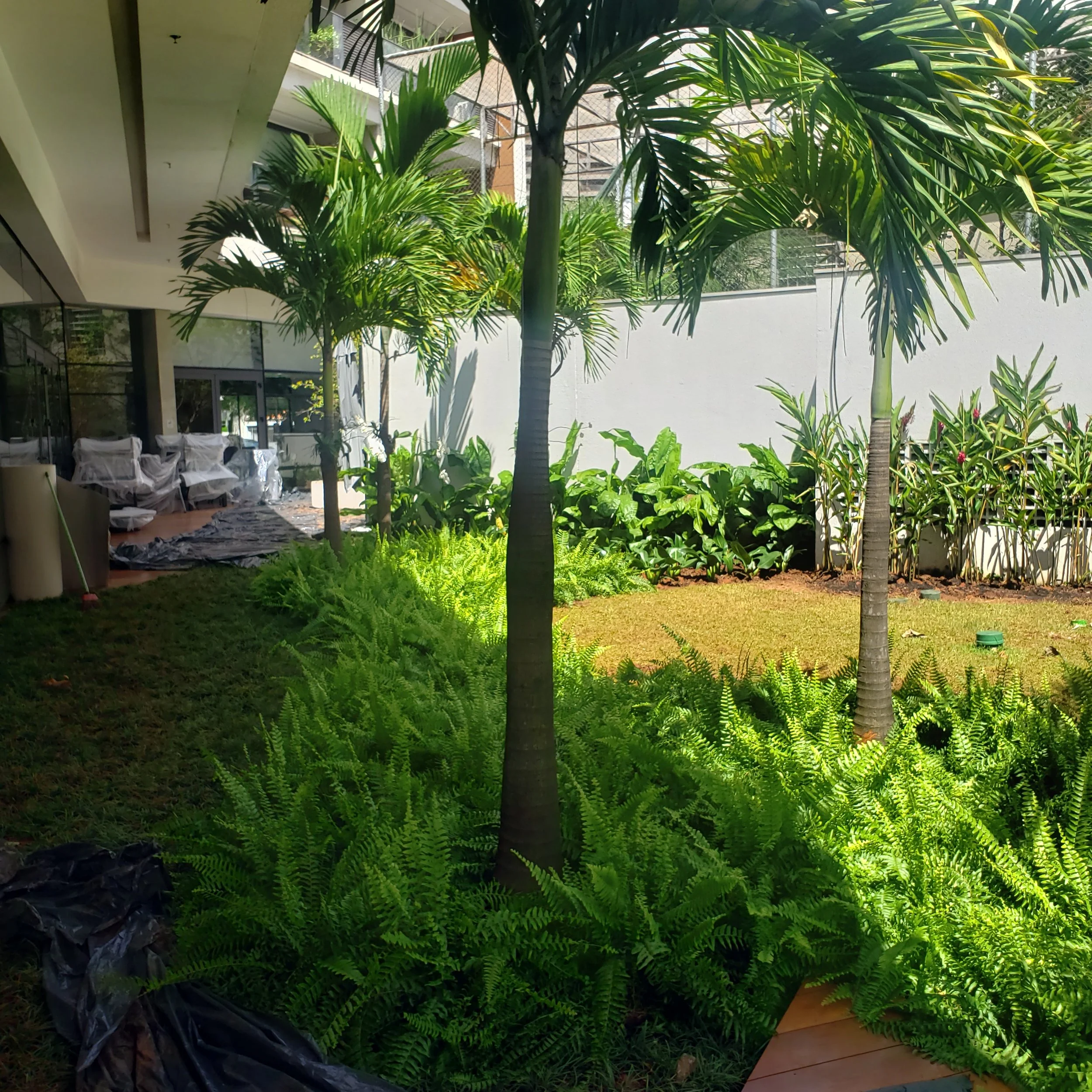 Jardim com árvores de coqueiro, samambaias e outras plantas, ao lado de um prédio ou espaço coberto, com móveis cobertos e piso de madeira.