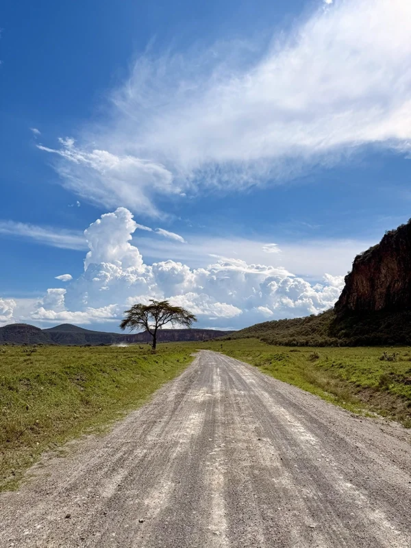 Une route de terre entourée de verdure, un arbre solitaire à gauche, une colline rocheuse à droite, avec un ciel bleu et des nuages blancs volumineux. Paysage kényan.