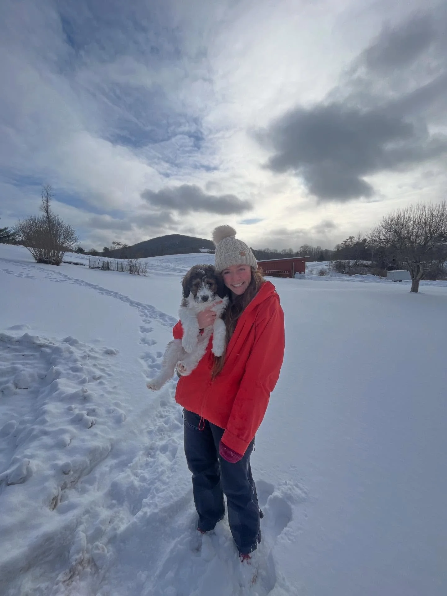 Swipe to see Franklin grow into a BIG DAWG

 1 year with this pup in my life. 

Many more adventures to come.. 10/10 would recommend🐶