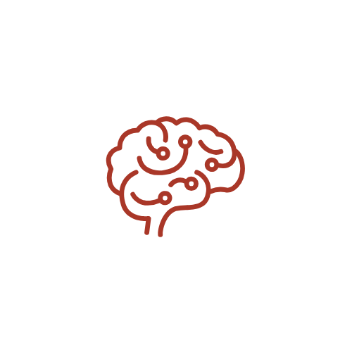 A simple illustration of a human brain in red, with black background.