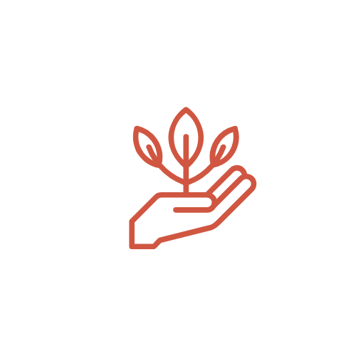 Outline of a hand holding a small plant with three leaves