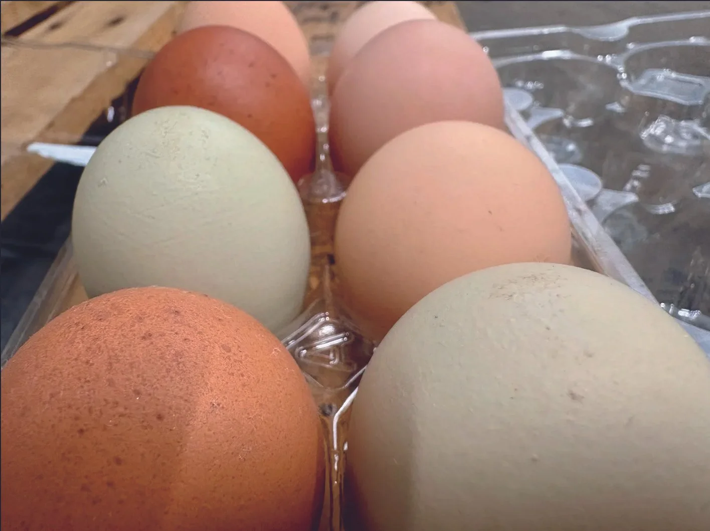 photo of farm eggs