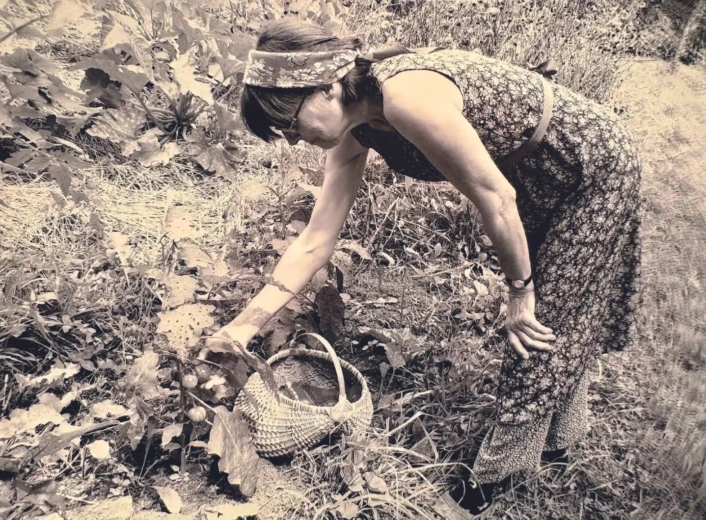 photo of farmer