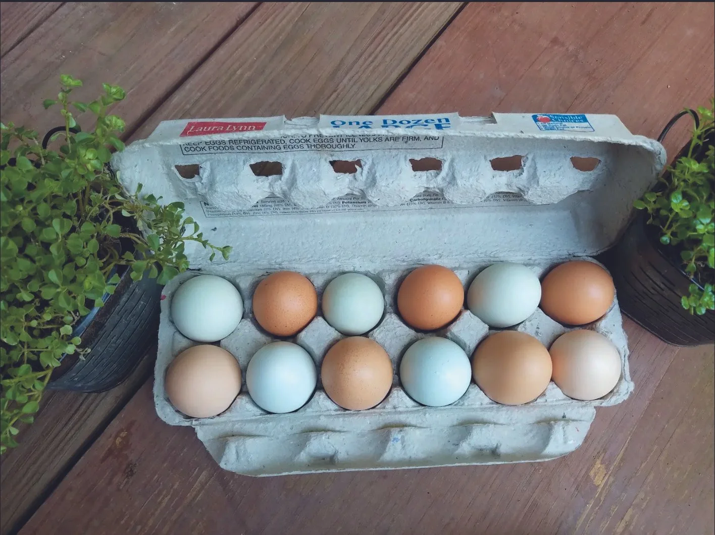 photo of farm eggs