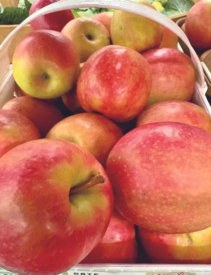 photo of apples