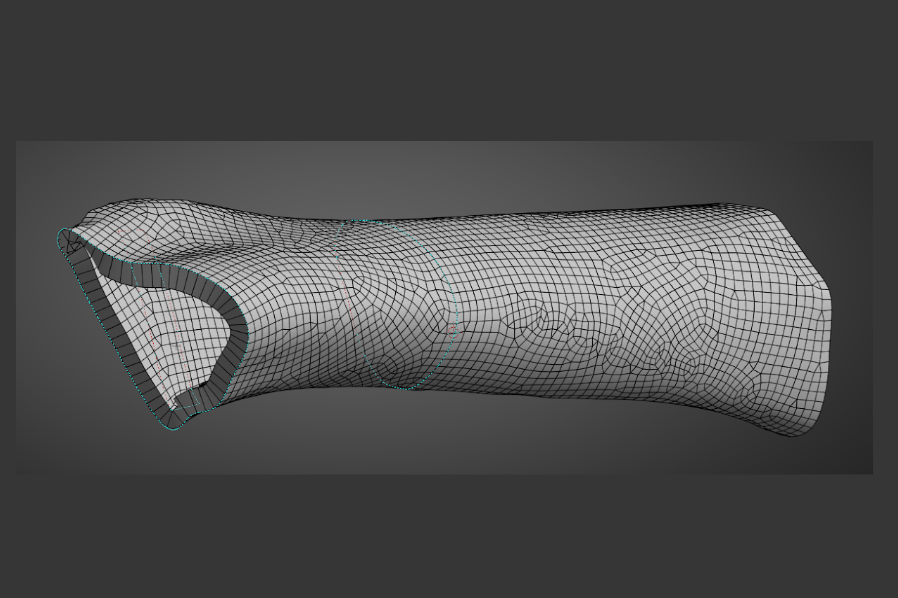 Rat femur ANSYS mesh.