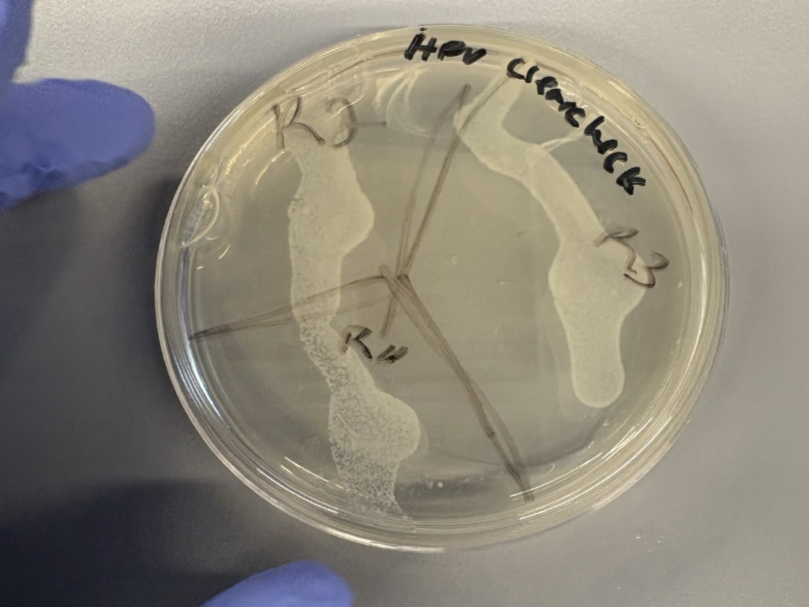 Bacterial testing to validate swab collection functionality.