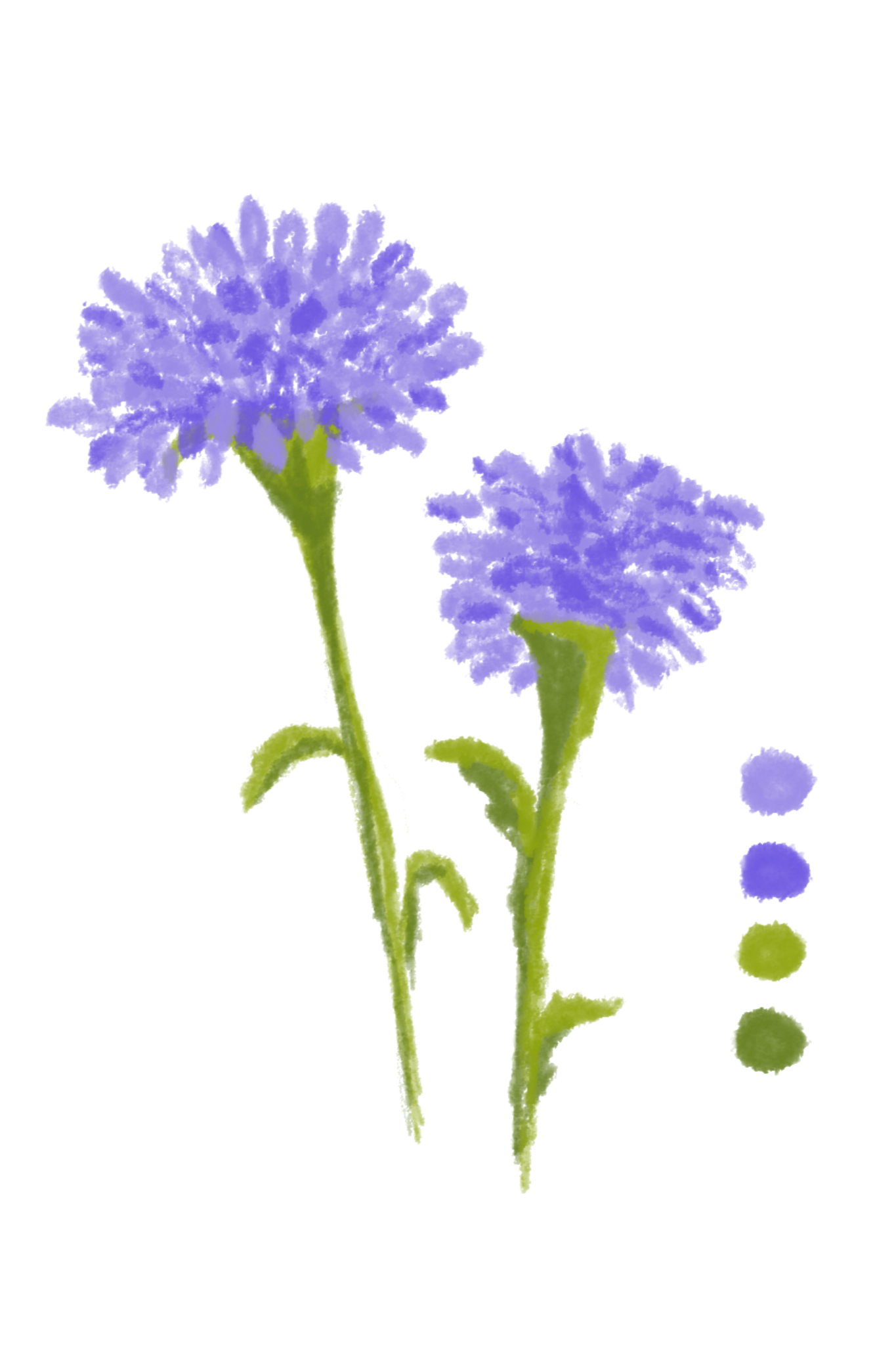Illustration of purple flowers.