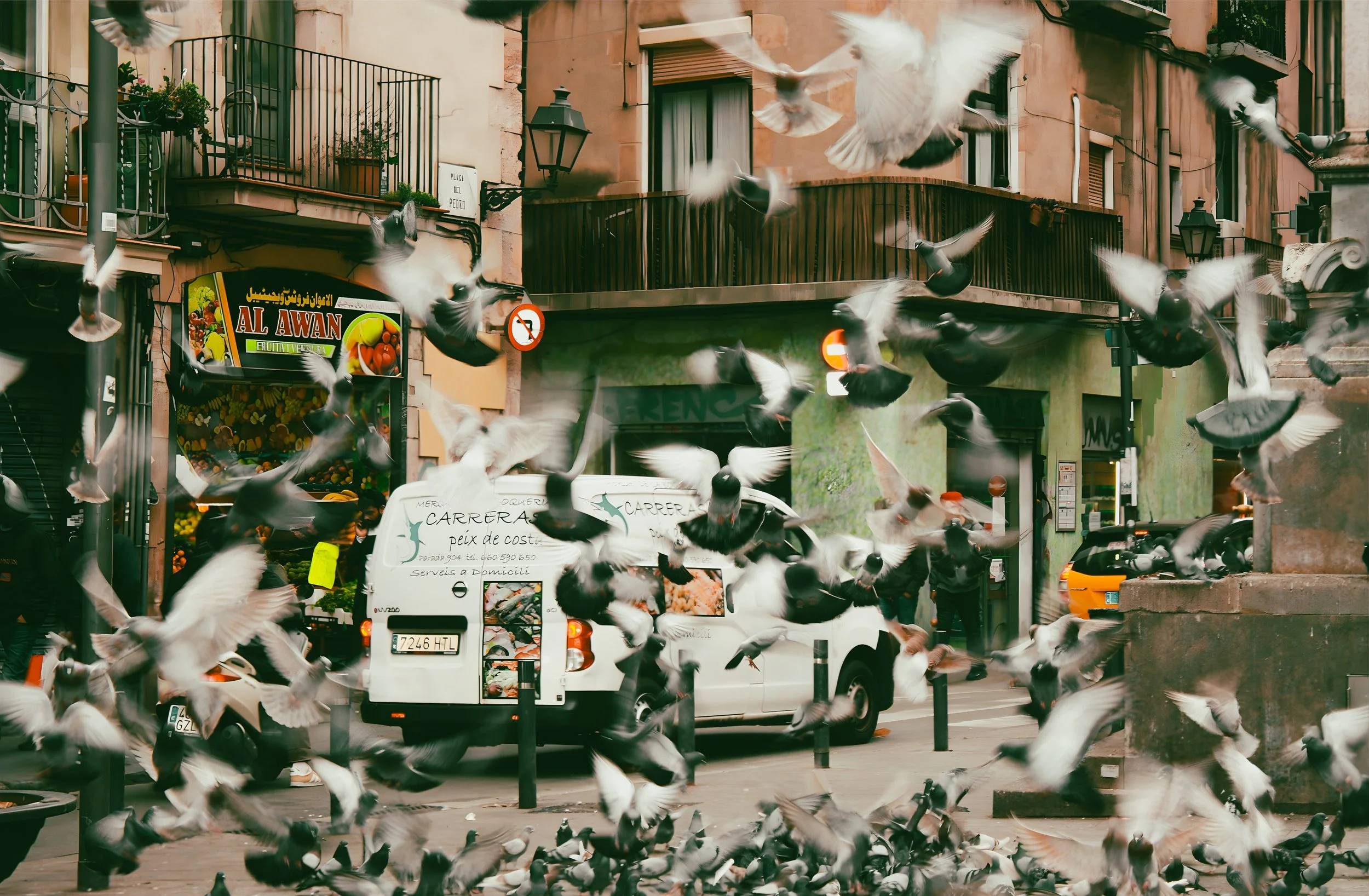 Untitled design-2.jpg
