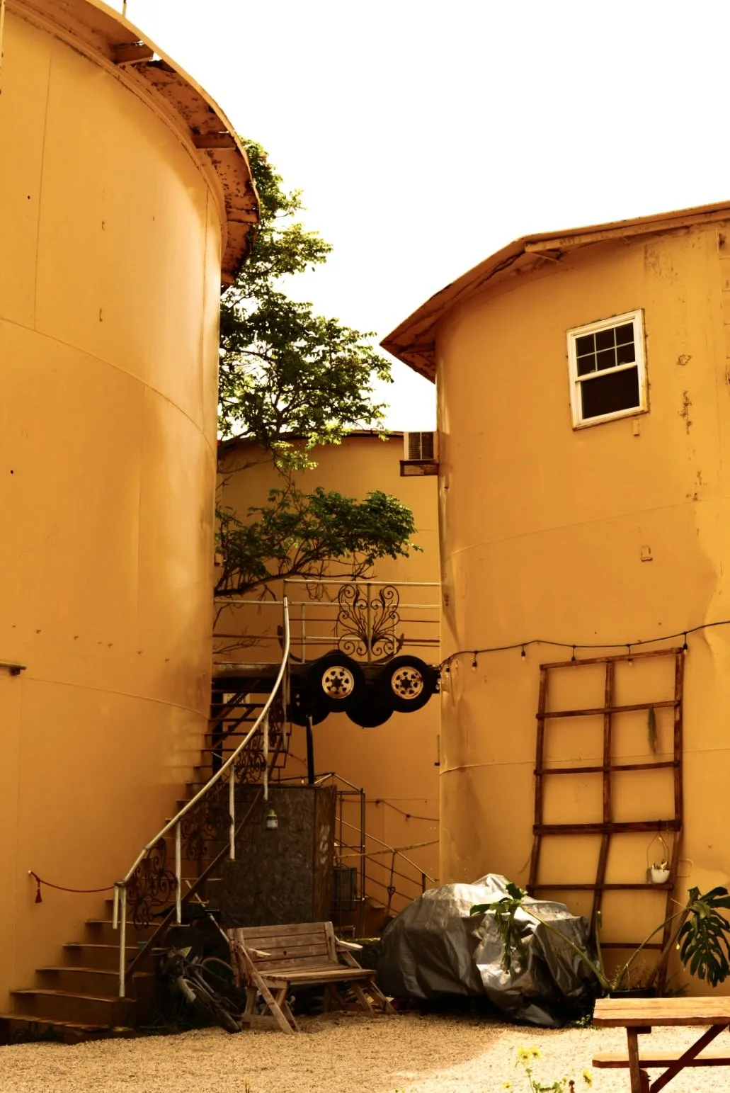 DSC00942.jpeg