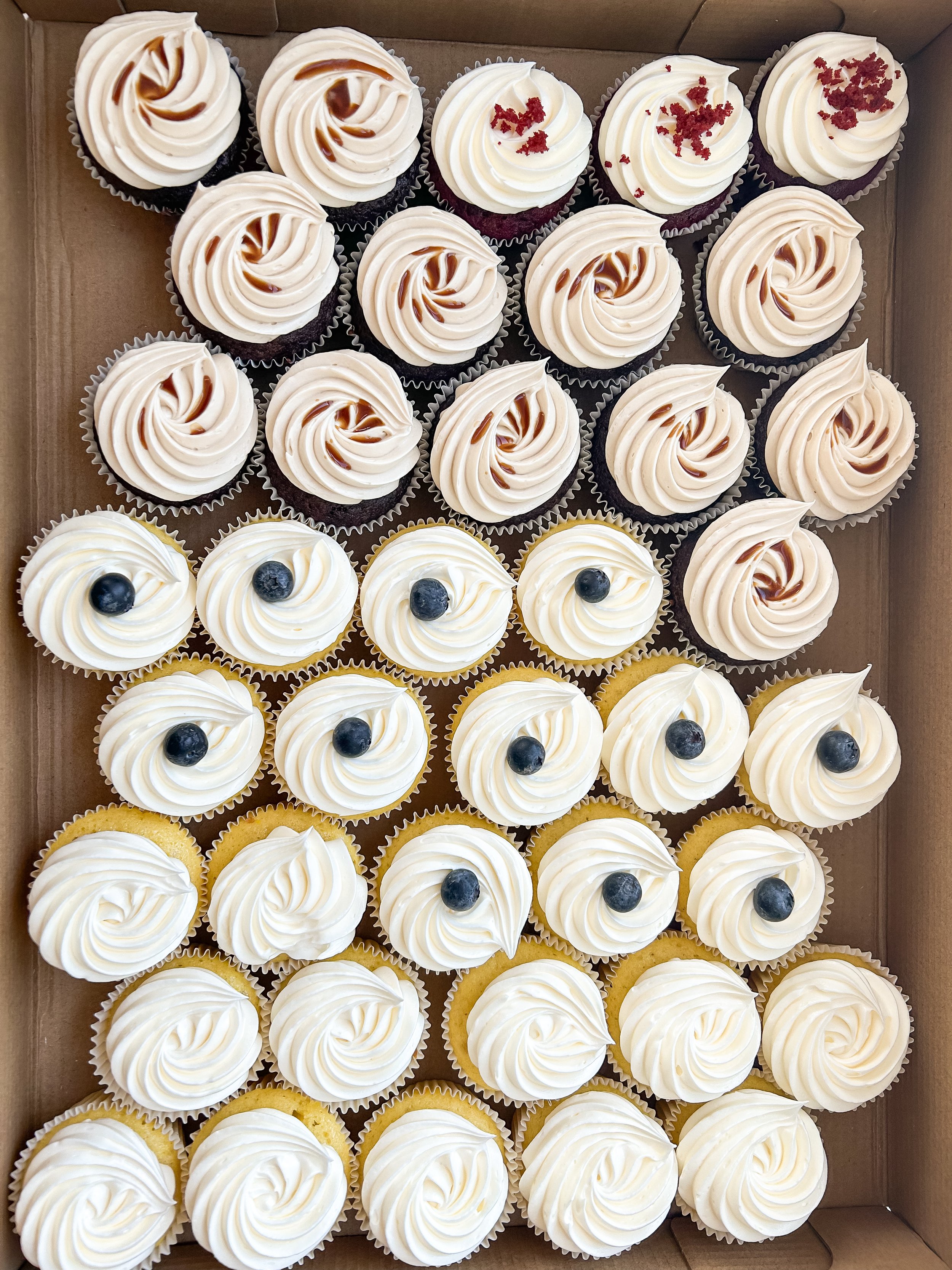 A box of assorted cupcakes with white frosting, some topped with blueberries and others with red sprinkles, arranged in rows.