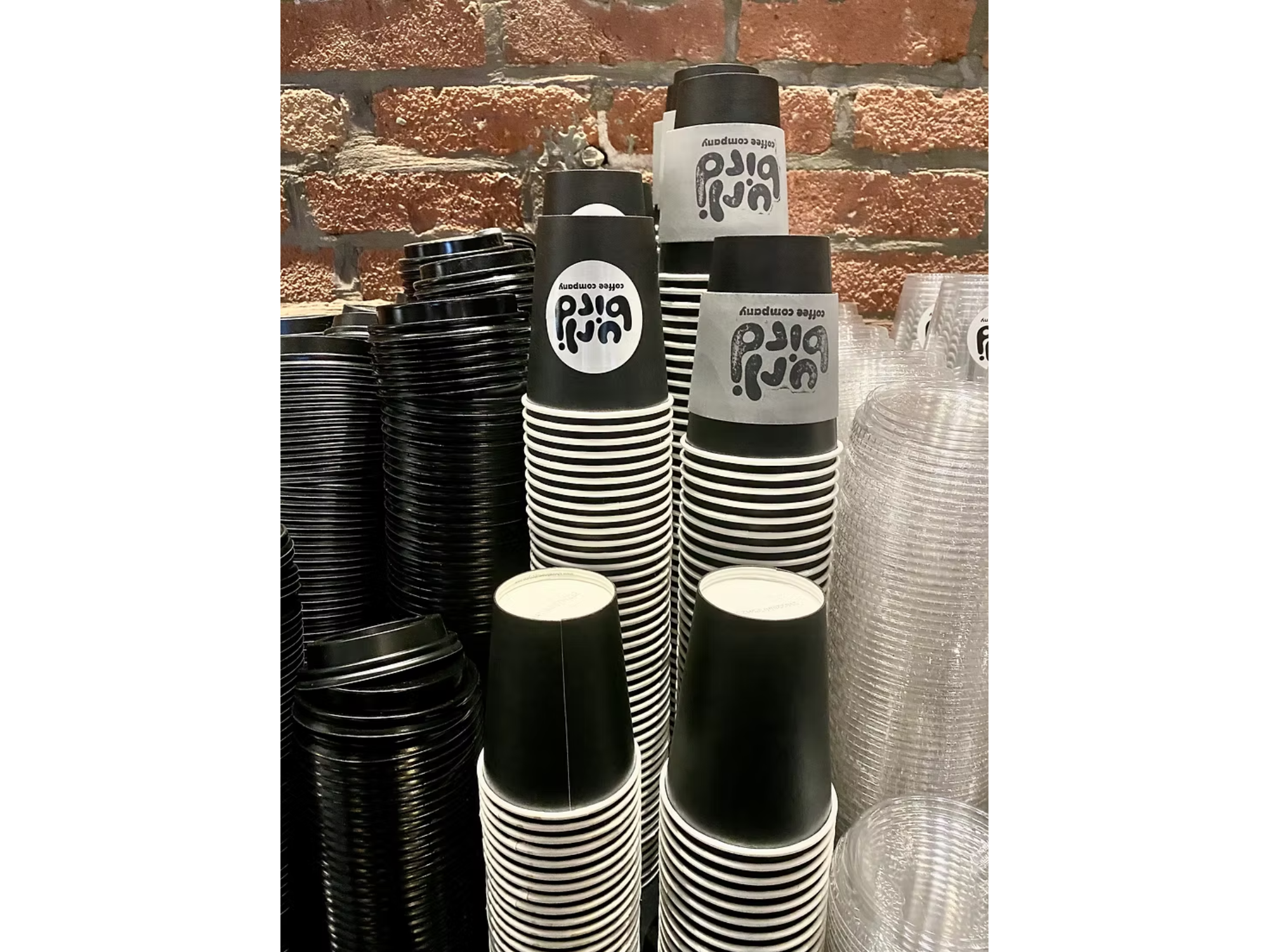 Untitled design (74).png