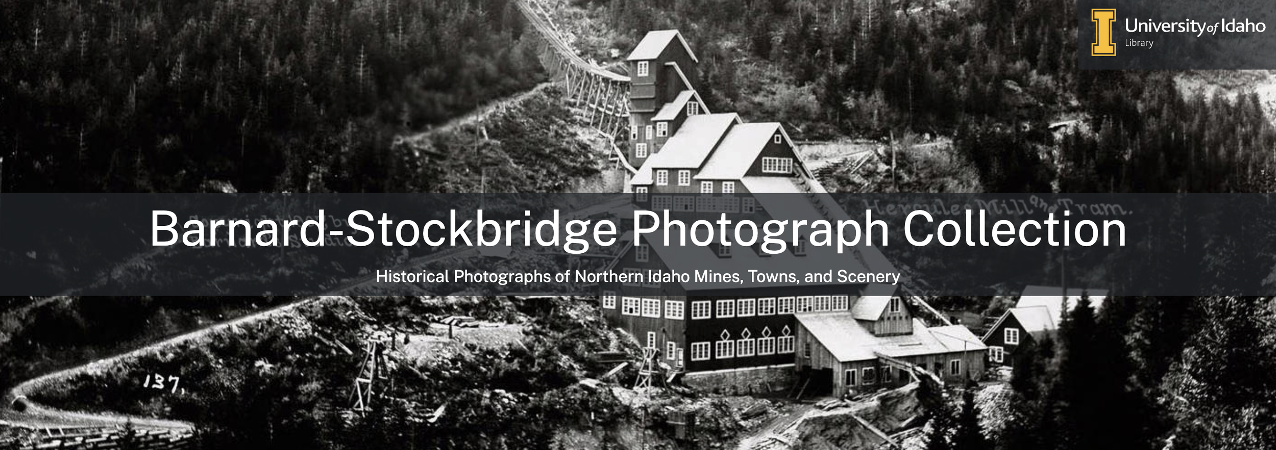 vintage photograph collection