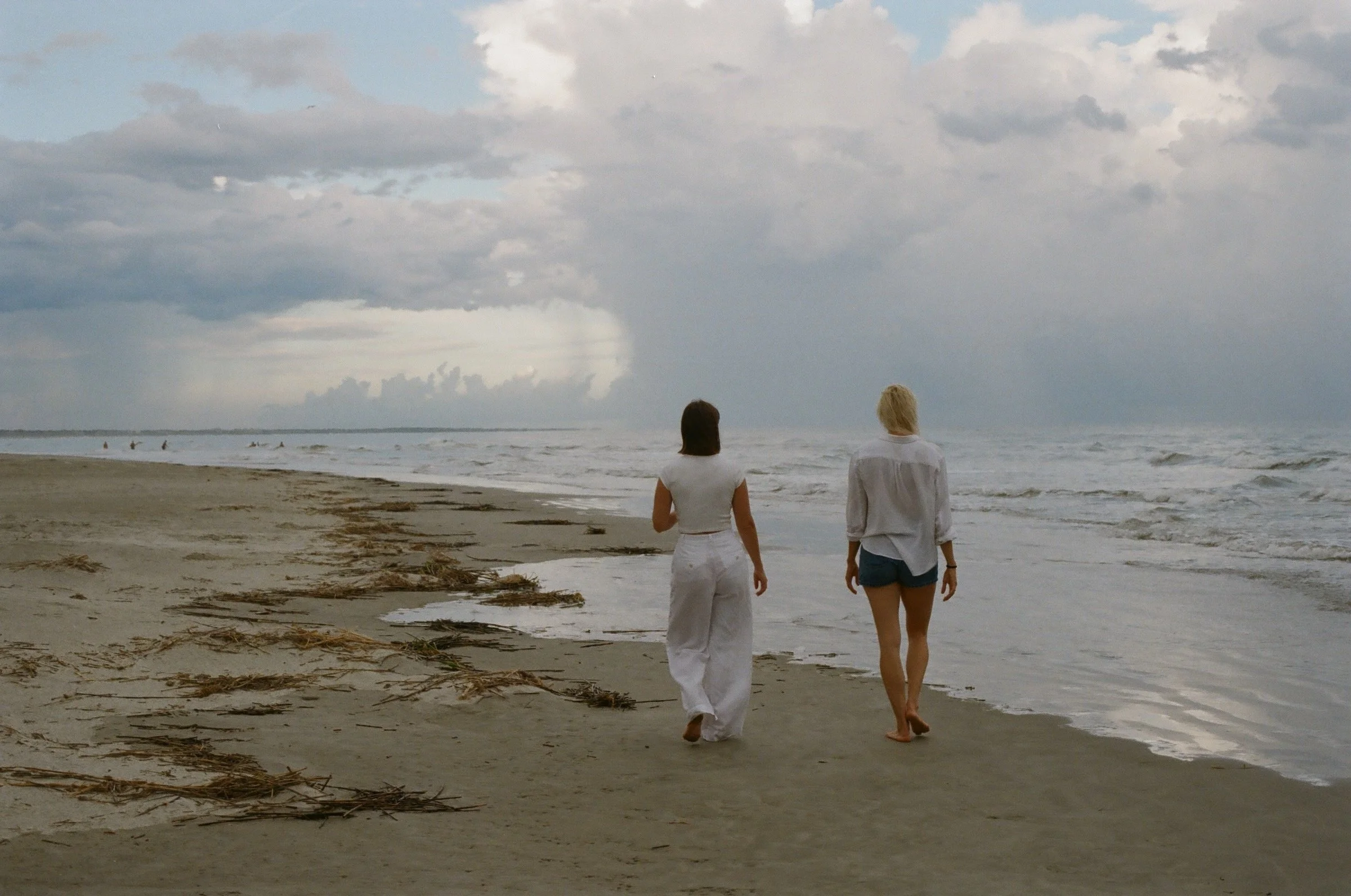low country walk post-storm