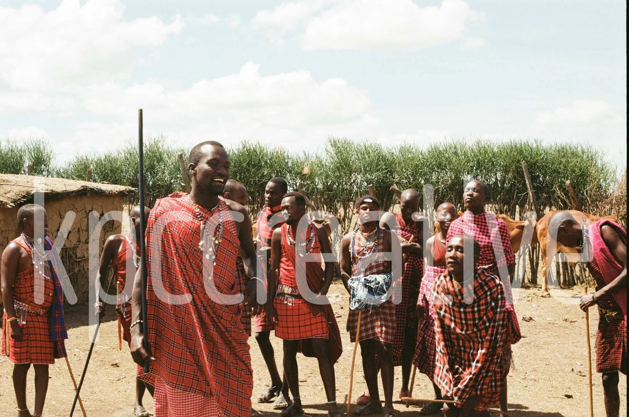 masai ritual, kenya