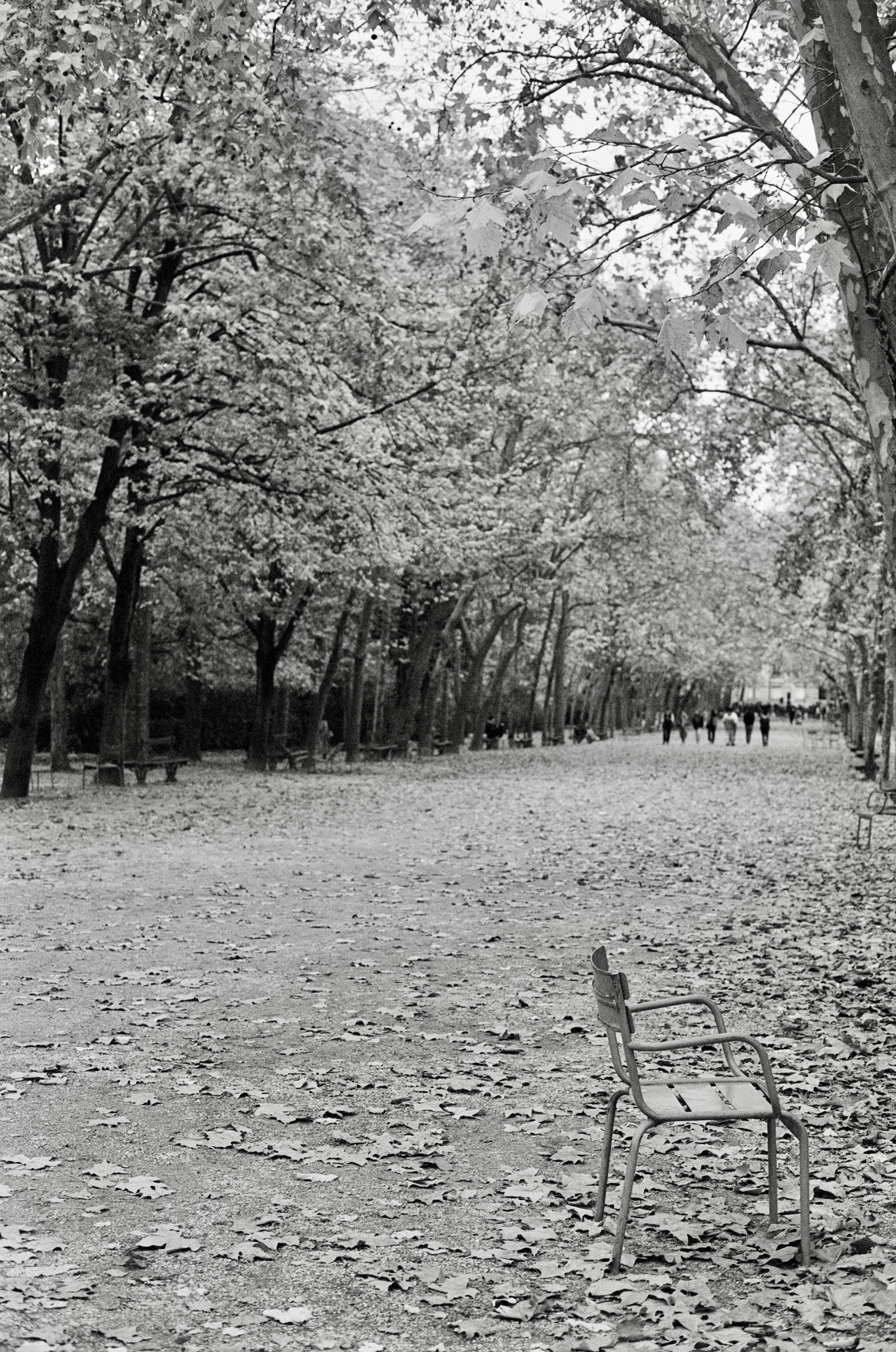 une chaise, paris