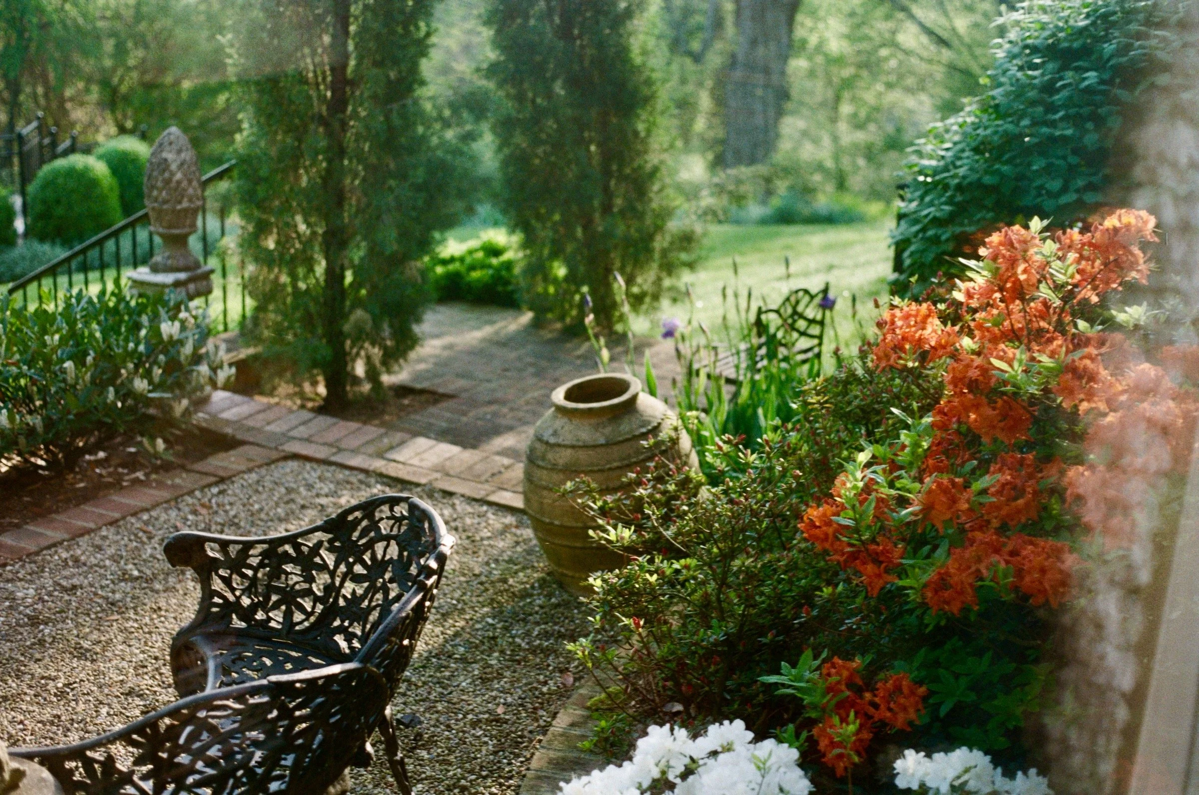 azalea season in kentucky